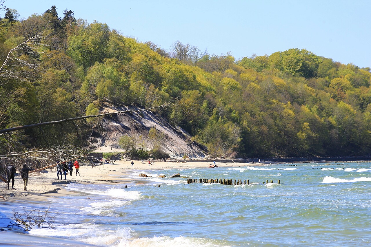 Svetlogorsk. Beach