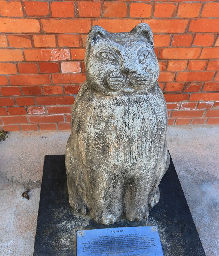 Zelenogradsk. Monument to the Prussian cat