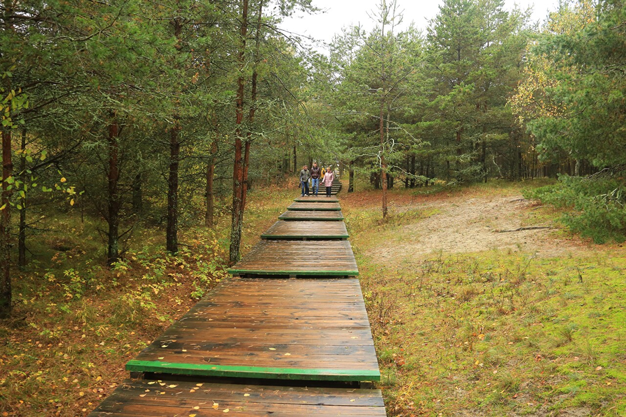 Ecological trail 