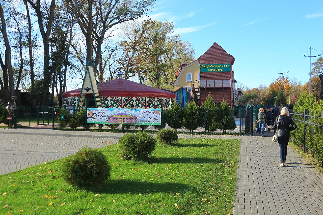 ФилоСовия - Музей Филинов и Сов, Зеленоградск