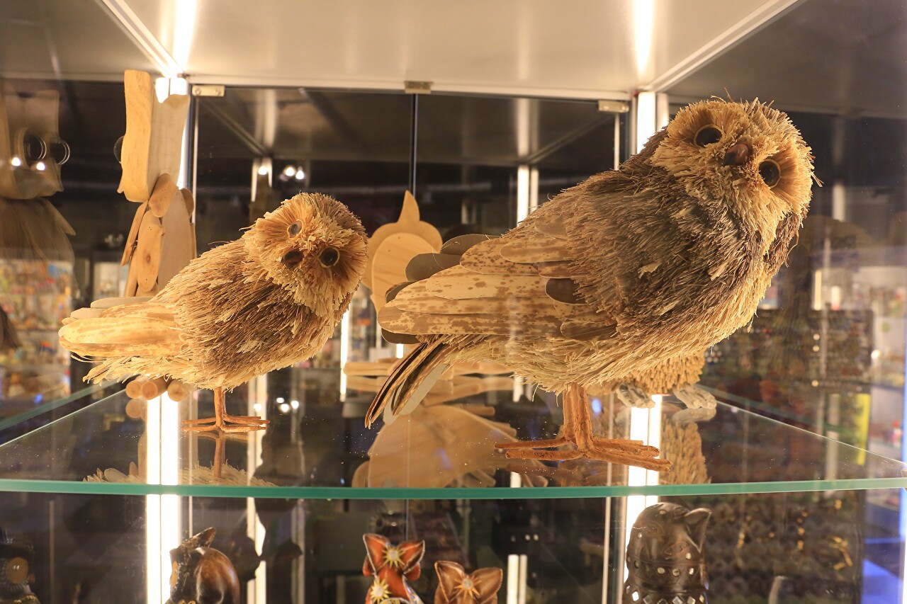 FiloSoviya - Museum of Owls, Zelenogradsk