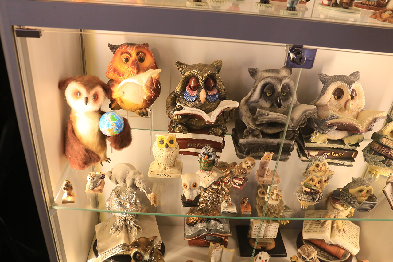 FiloSoviya - Museum of Owls, Zelenogradsk