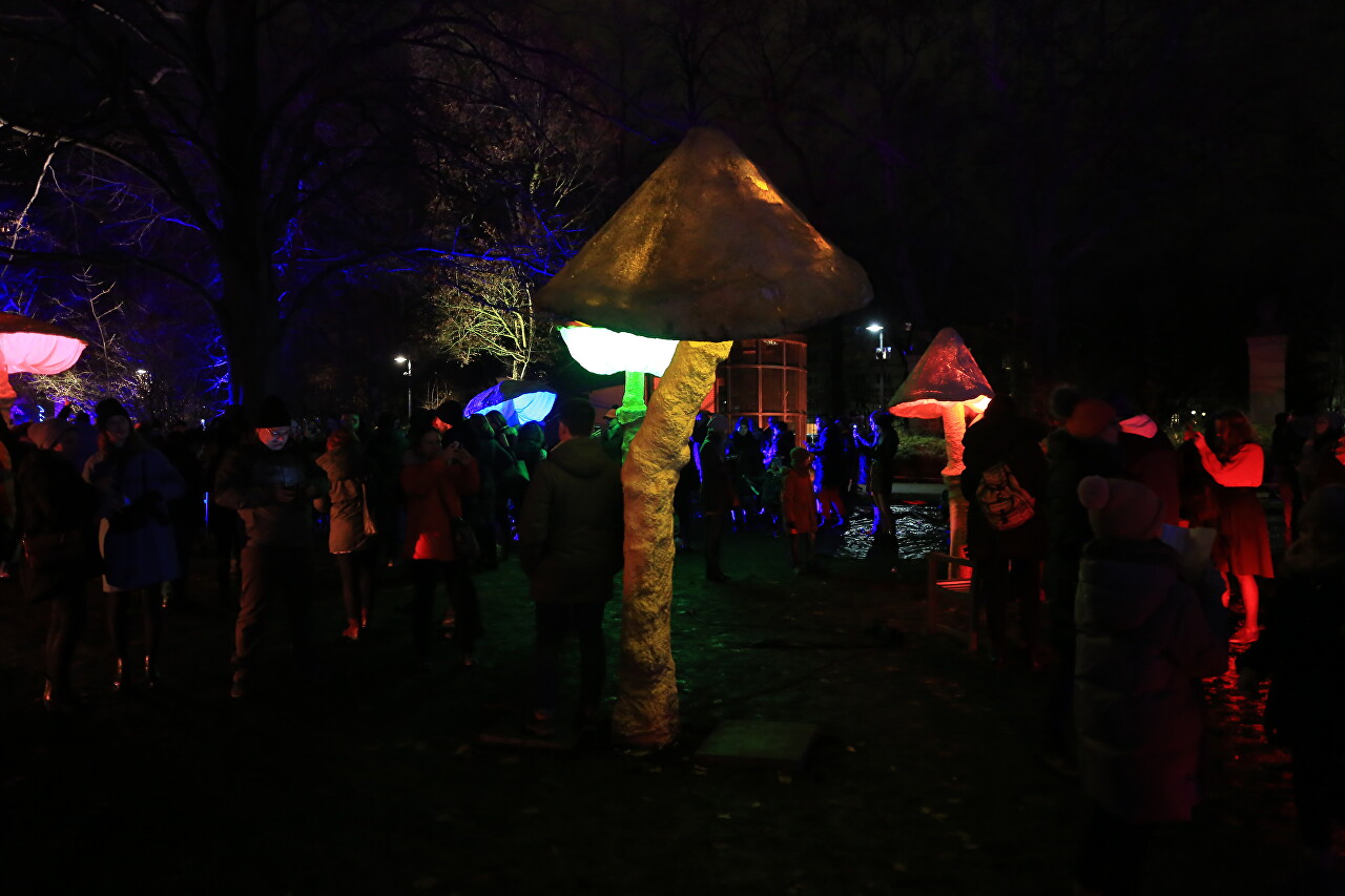 Рождественское световое шоу в Староместском парке, Вроцлав